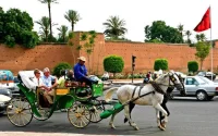 Marrakech : La place Jamaa El-Fna expulse les calèches