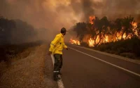 Trois morts dans l'incendie de forêt à M'diq