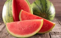 Les producteurs espagnols de melon et de pastèque dénoncent la concurrence marocaine