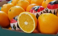 Les oranges, un luxe pour les Marocains