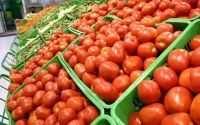 La chute annoncée de la production agricole de l'UE pourrait profiter au Maroc