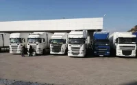 Visas français : les transporteurs marocains en colère