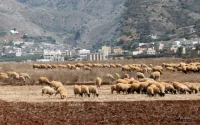 Nouveau séisme à Al Hoceima