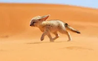 Vague de chaleur dans plusieurs provinces marocaines (+48 degrés)