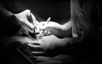 Val-d'Oise : un praticien en circoncision interpelé pour pratique illégale