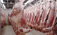 La viande consommée par les Marocains dangereuse pour la santé ? un ministre répond